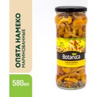 griby_opyata_botanica_marinovannye_tselye_580_ml_2629249_1
